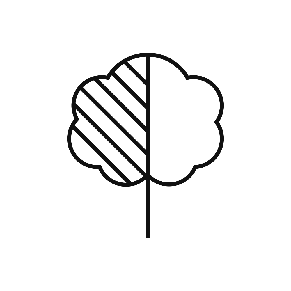 logo casa del ciliegio